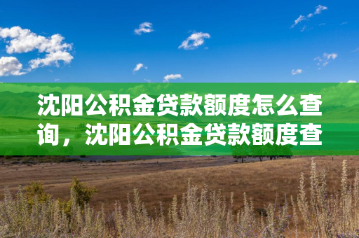 哈尔滨公积金贷款额度怎么查询，哈尔滨公积金贷款额度查询计算器