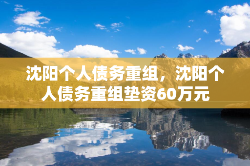 哈尔滨个人债务重组，哈尔滨个人债务重组垫资60万元