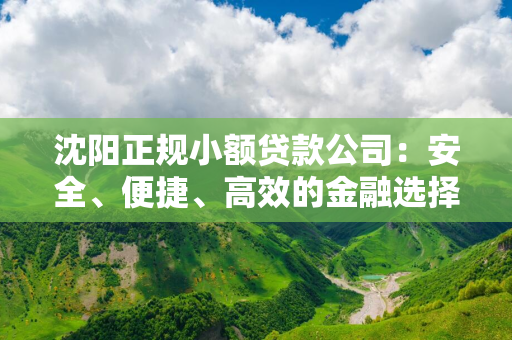 哈尔滨正规小额贷款公司：安全、便捷、高效的金融选择