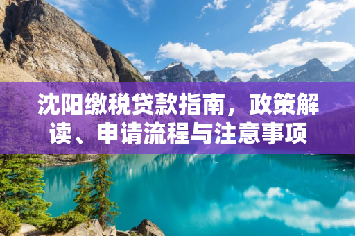  缴税贷款指南，政策解读、申请流程与注意事项