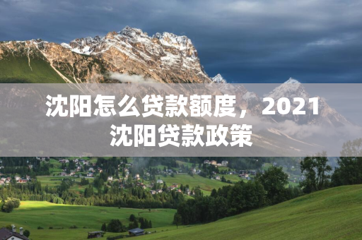  怎么贷款额度，2021 贷款政策