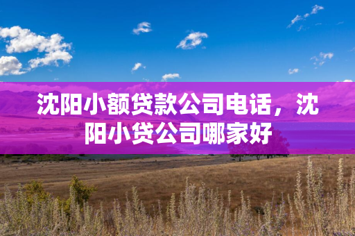 哈尔滨小额贷款公司电话，哈尔滨小贷公司哪家好